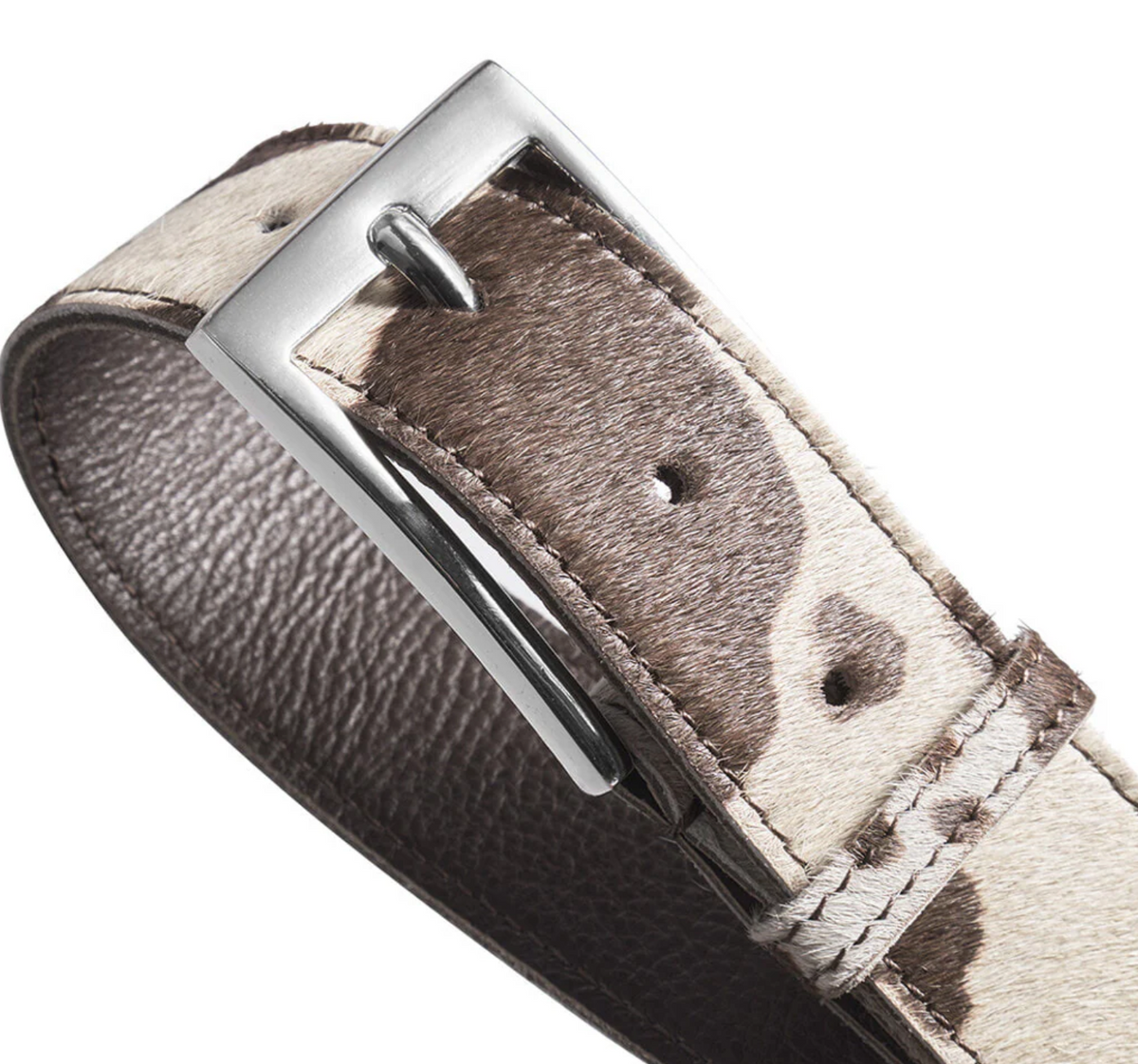 Riem Cow