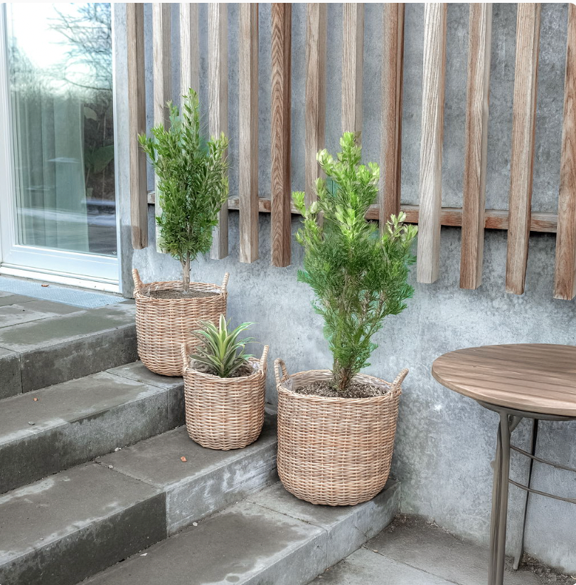 Plantenmanden in naturel - 3 stuks