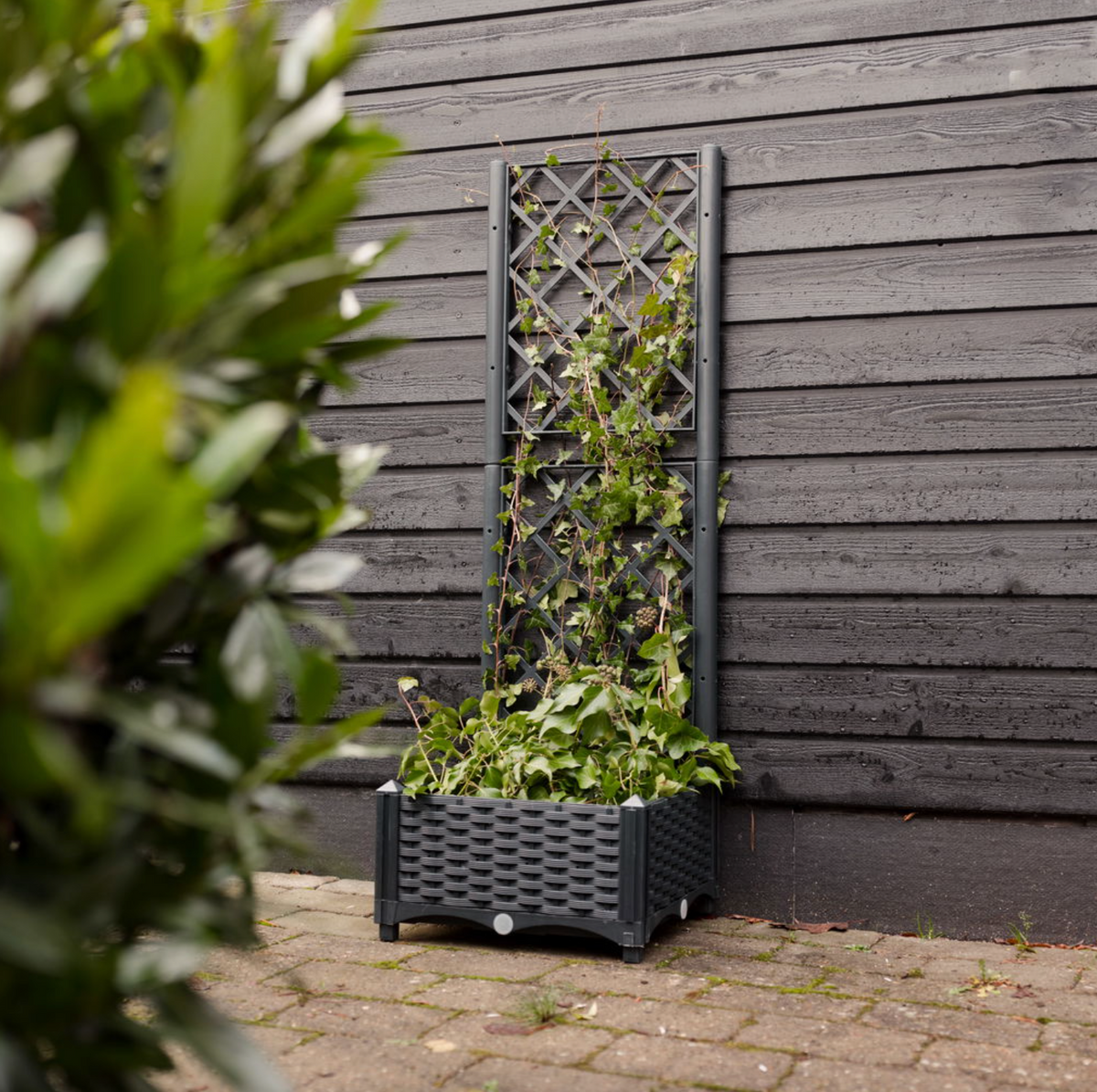 Plantenbak met trellis