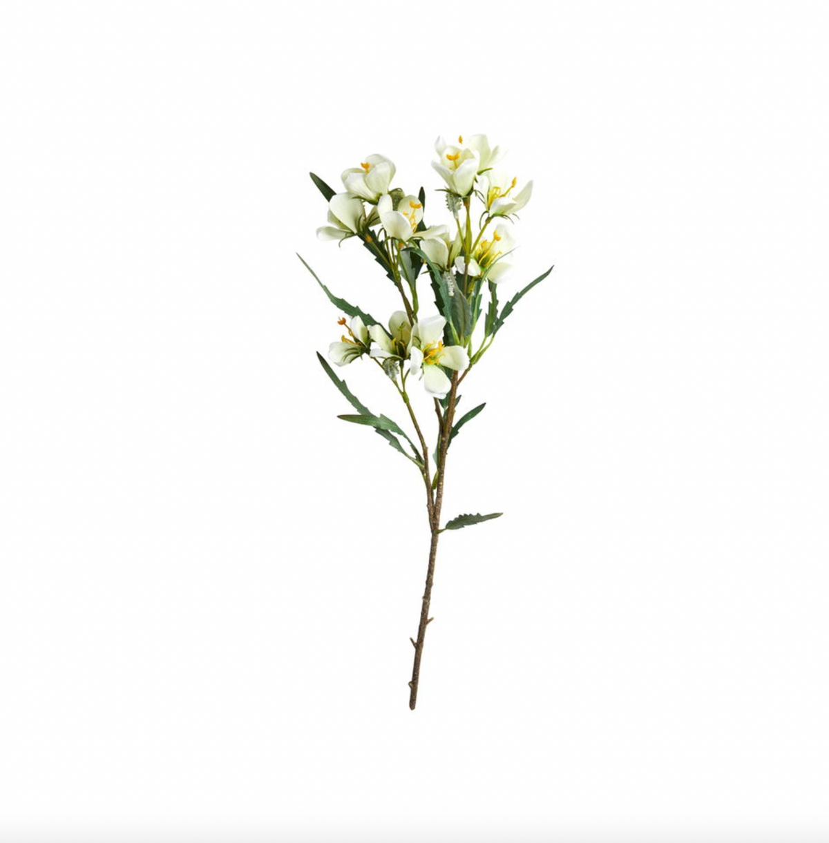 Spirea tak