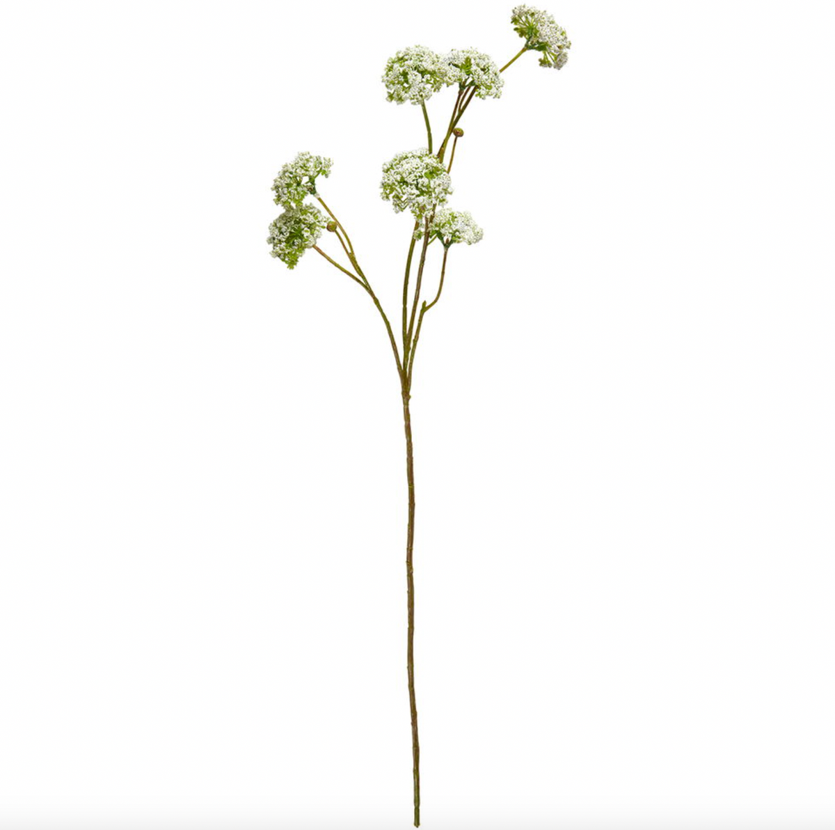 Wild flower steel