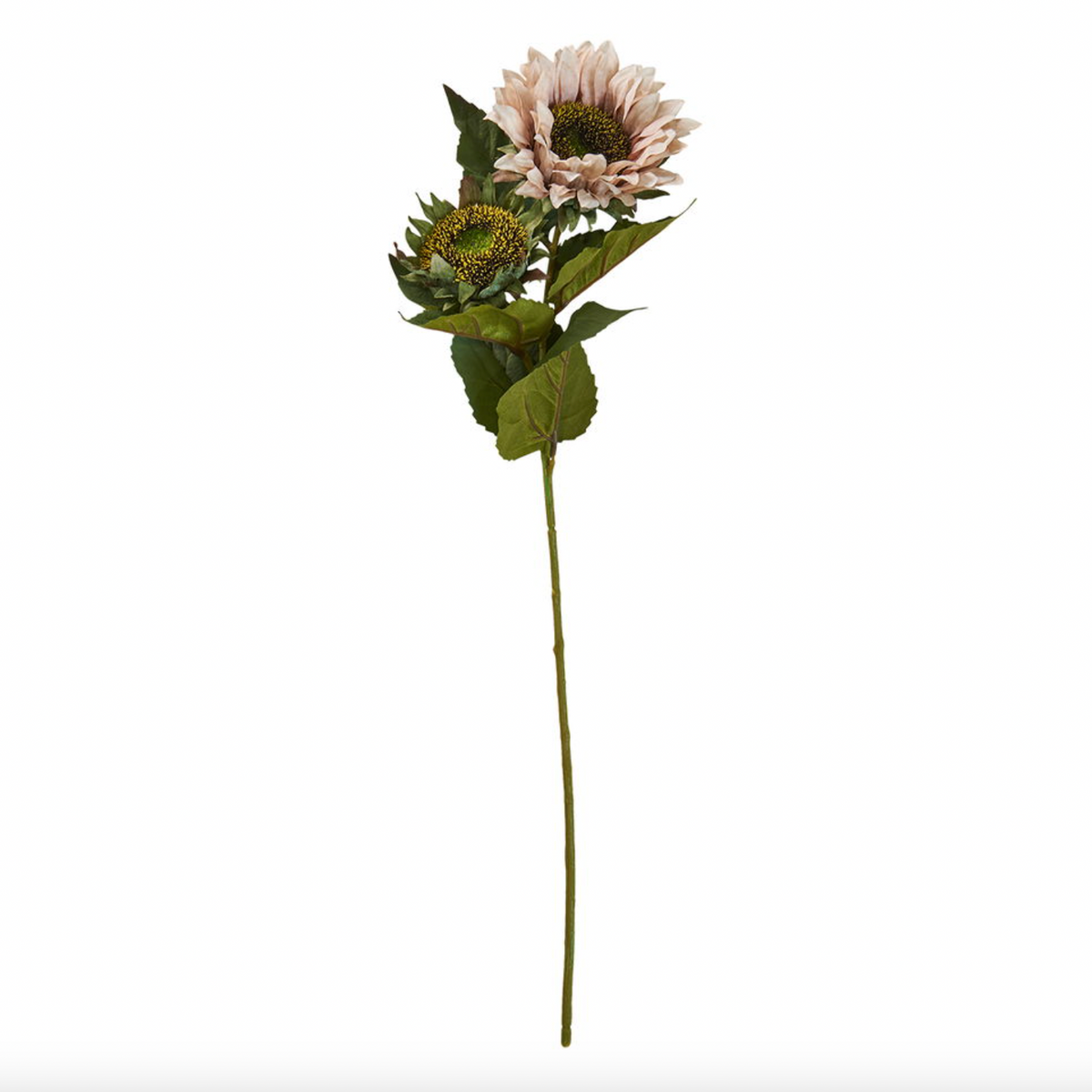Zonnebloemsteel