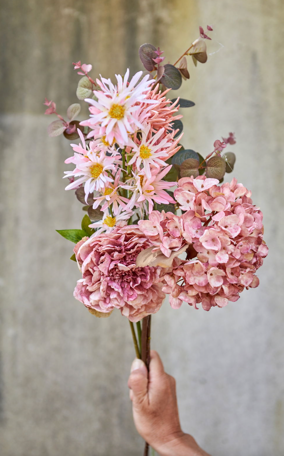 Hortensia steel