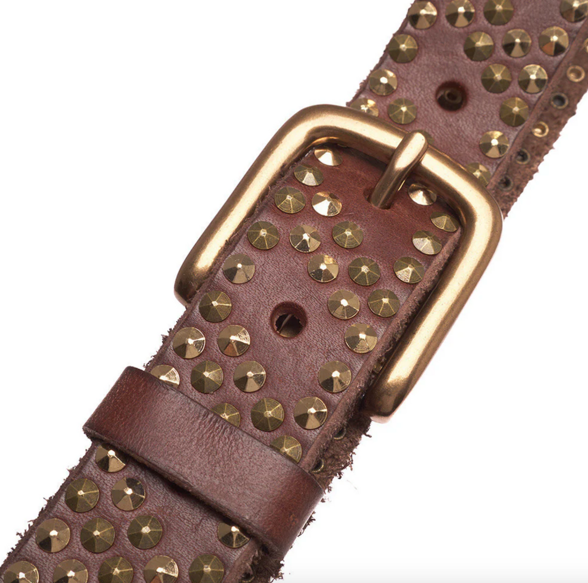 Jeansriem met studs - Brown/ gold
