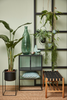Presentatiestand met pot - Cube black