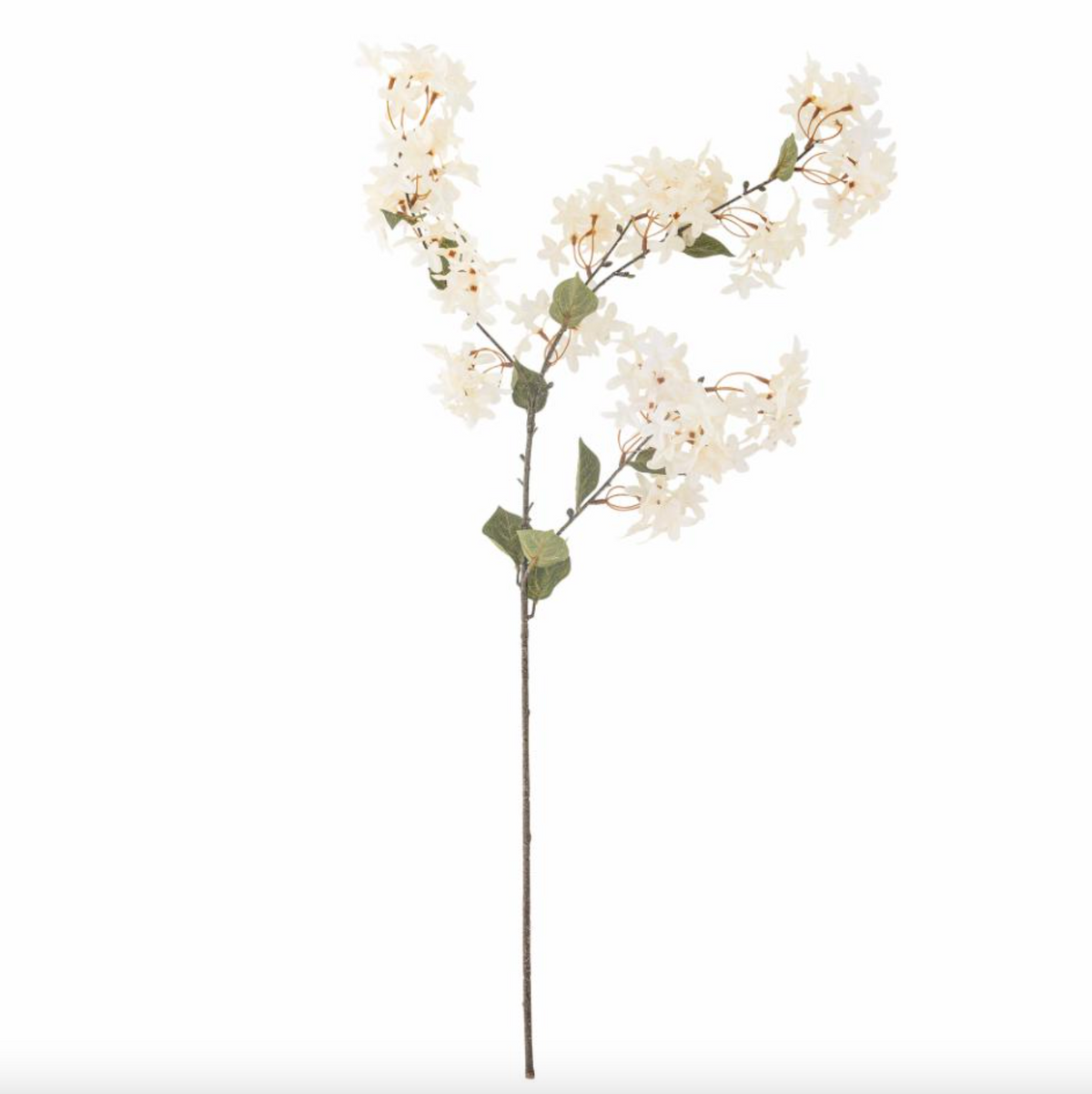 Bloem zijde