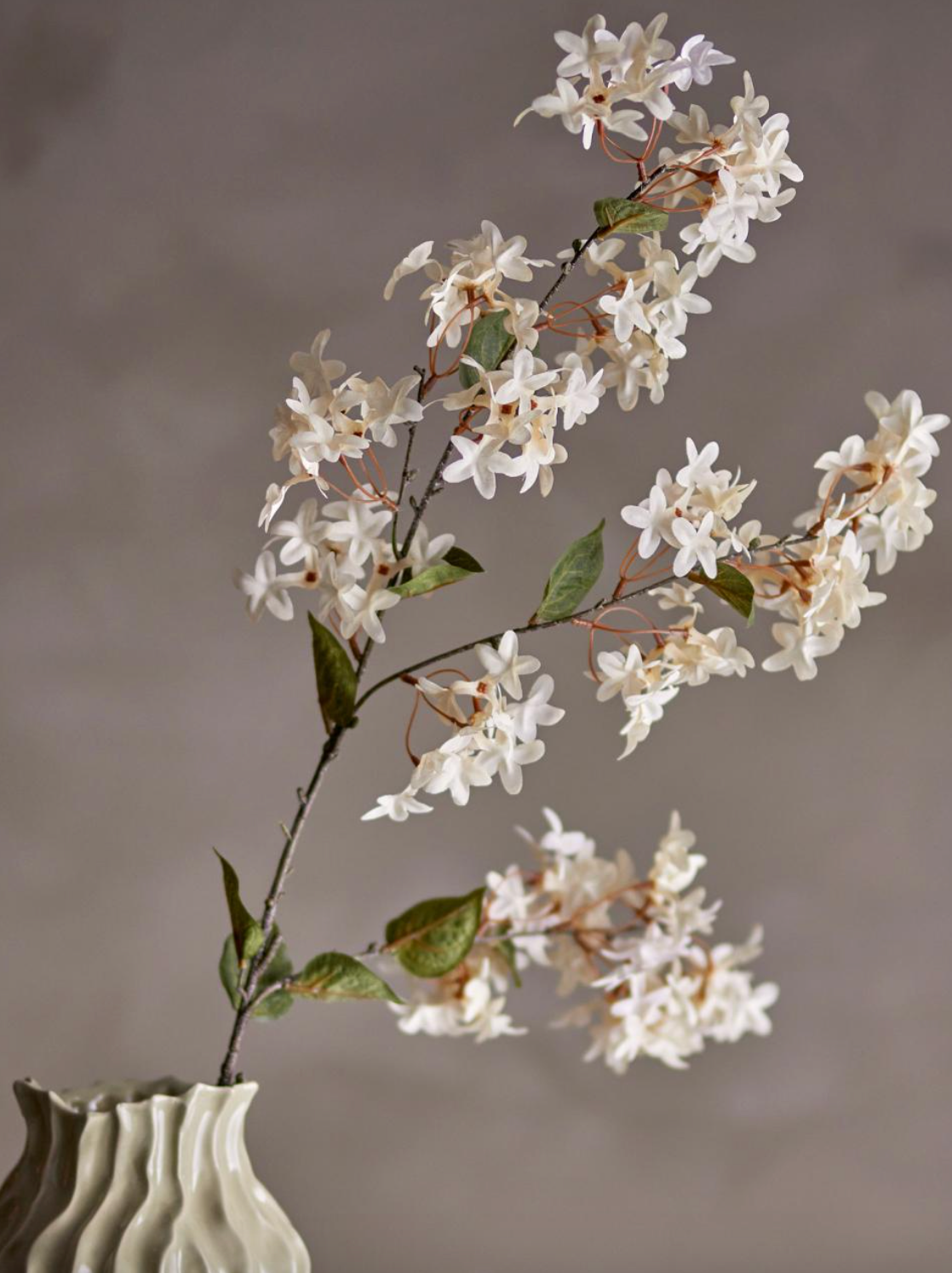 Bloem zijde