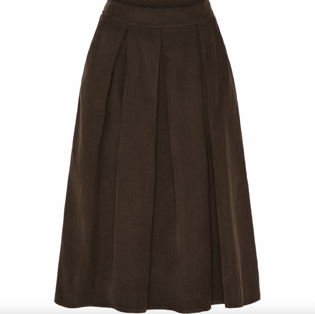 Rok Ciela brown