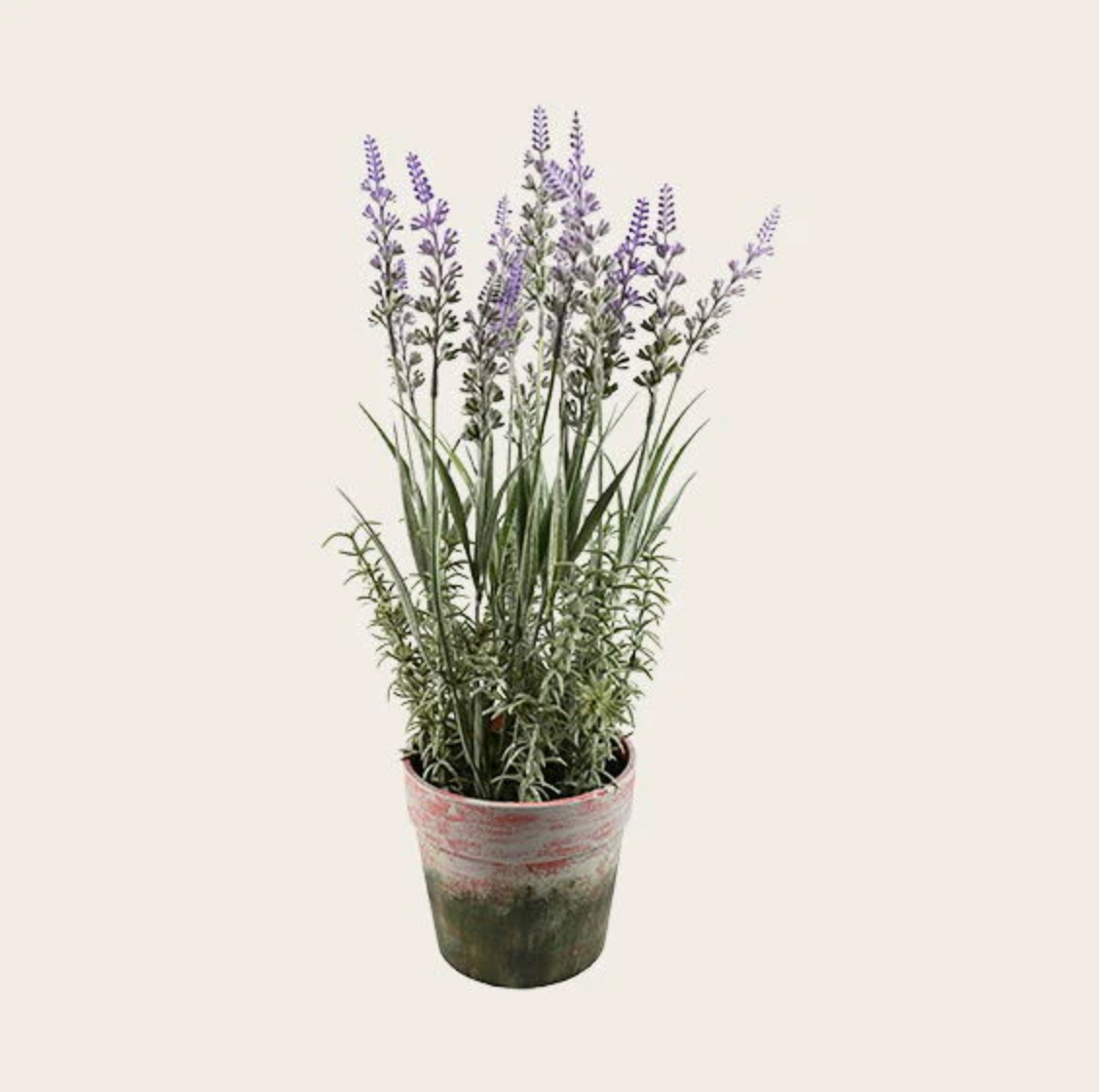 Bloem in pot