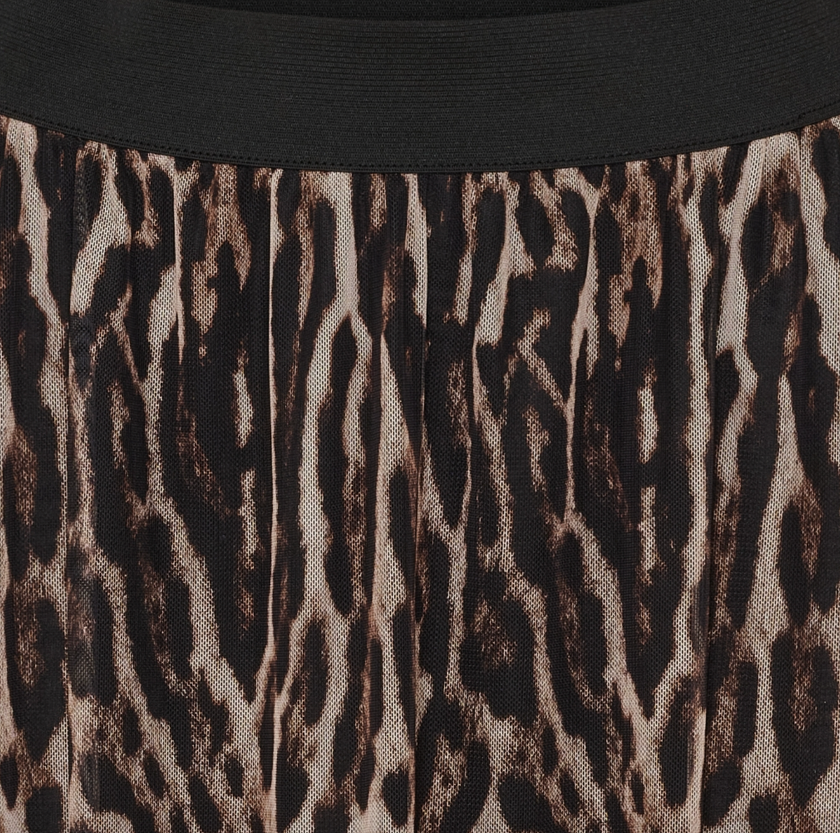 Rok Leo mesh