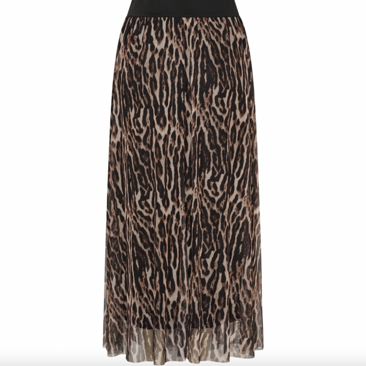 Rok Leo mesh