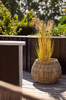 Plantenmanden van natuurlijke rattan - 2 st.