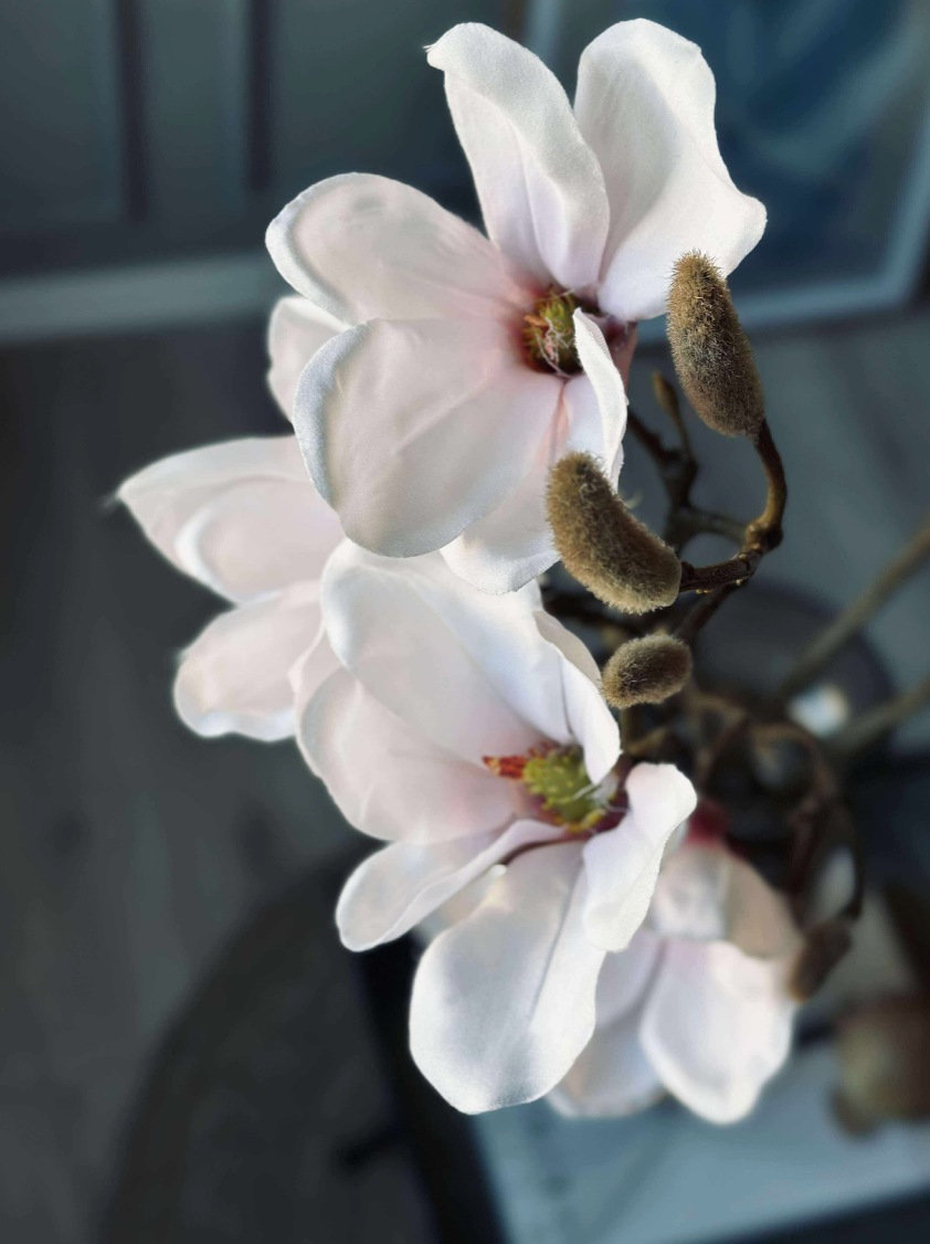 Magnoliatak - Roze 52 cm