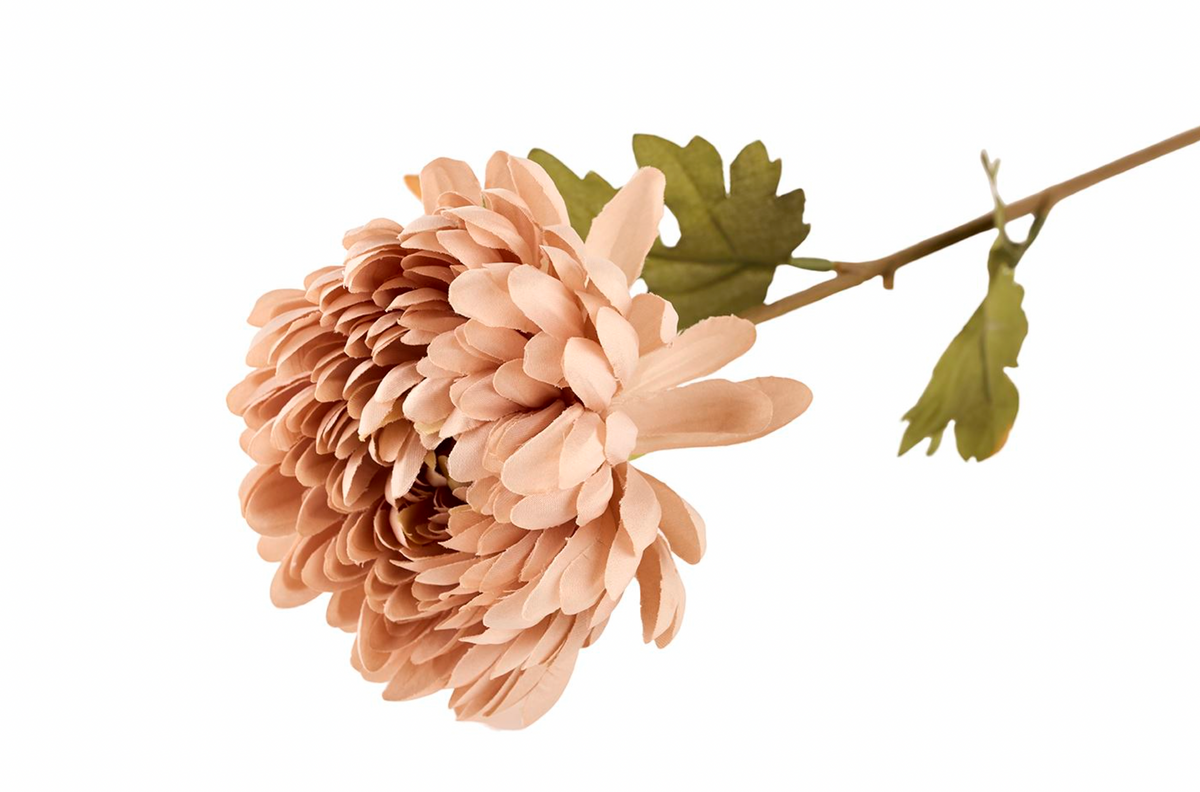 Bloem 65cm - Nude