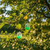 Wespenvanger – 2 stuks