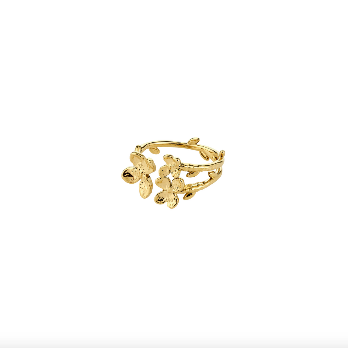 Ring AJANI verguld