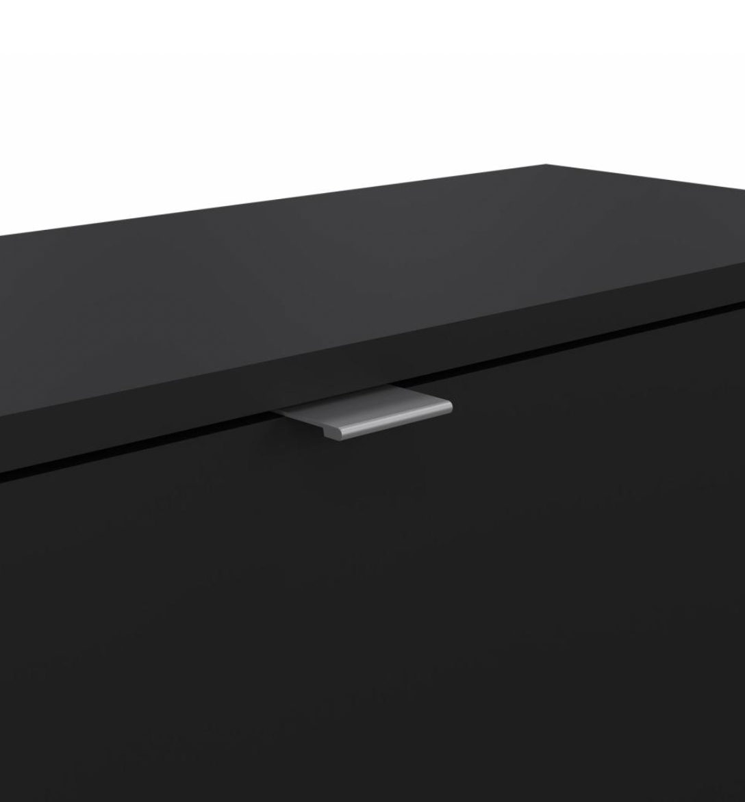 Schoenenkast met 3 klapdeuren en 2 planken - Black