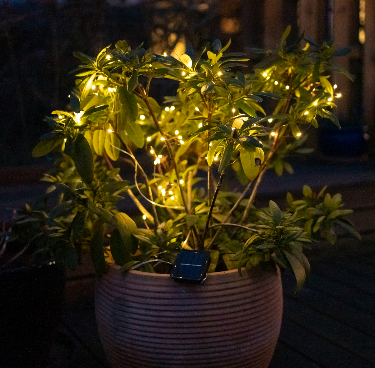 Lichtsnoer Marly m. Solar - 100 lichtjes