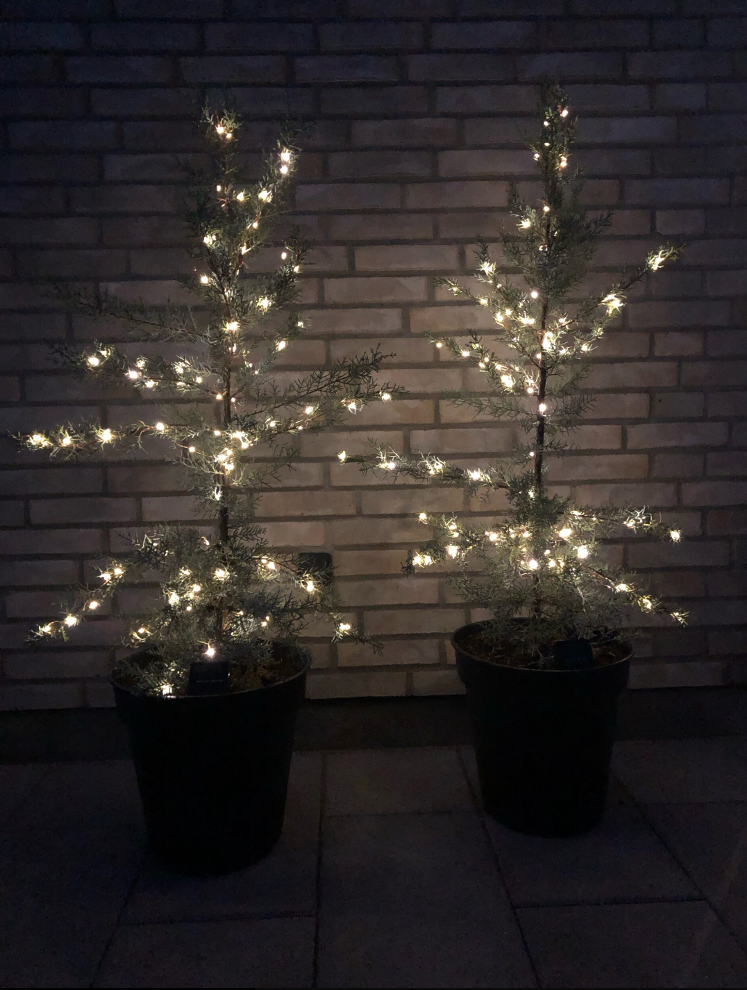 Lichtsnoer Marly m. Solar - 100 lichtjes