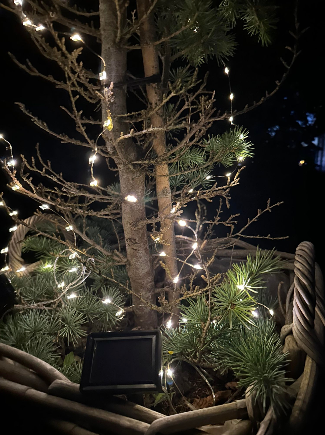 Lichtsnoer met zonnecellen - 100 lampjes