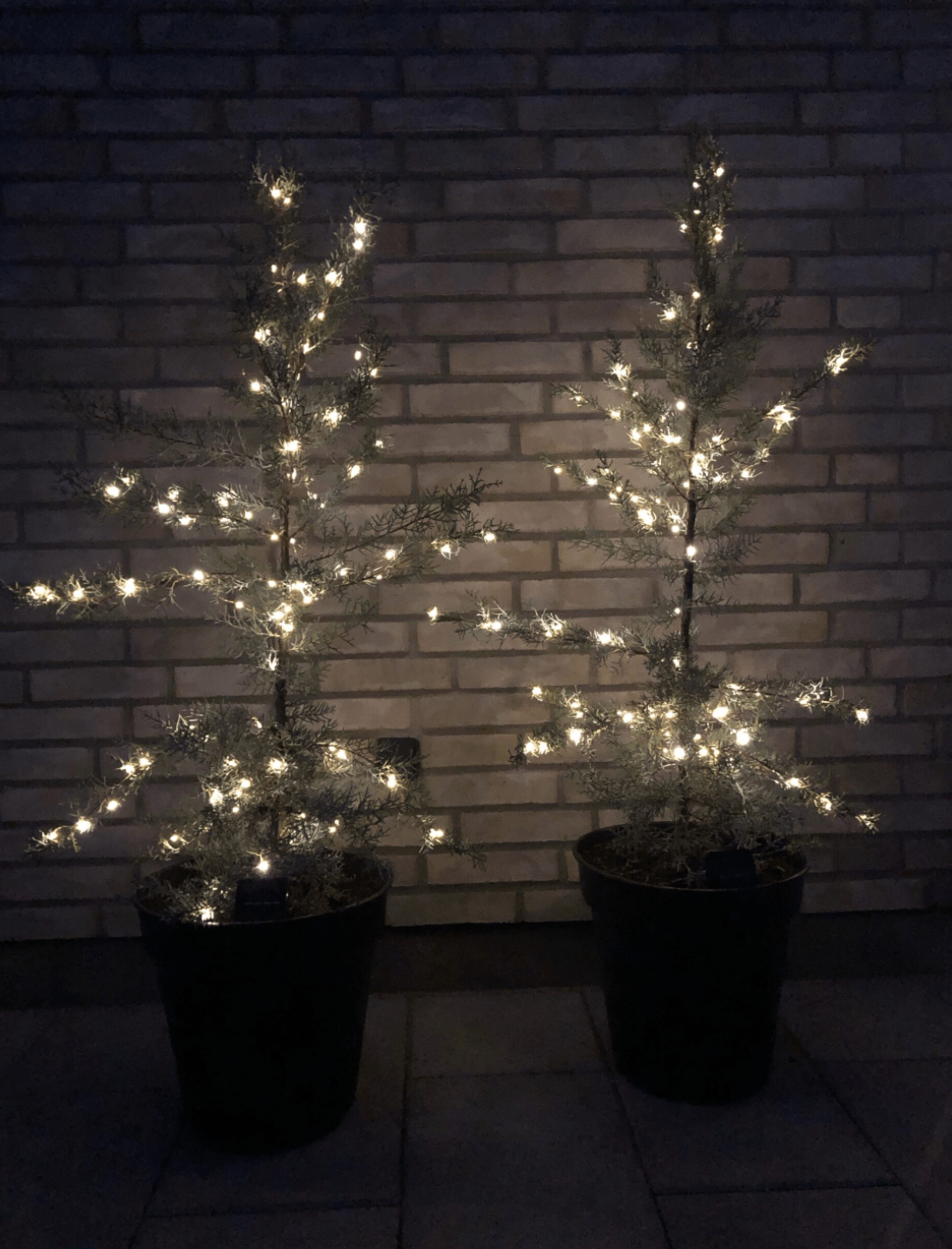 Lichtslinger op zonne-energie - 200 lampjes
