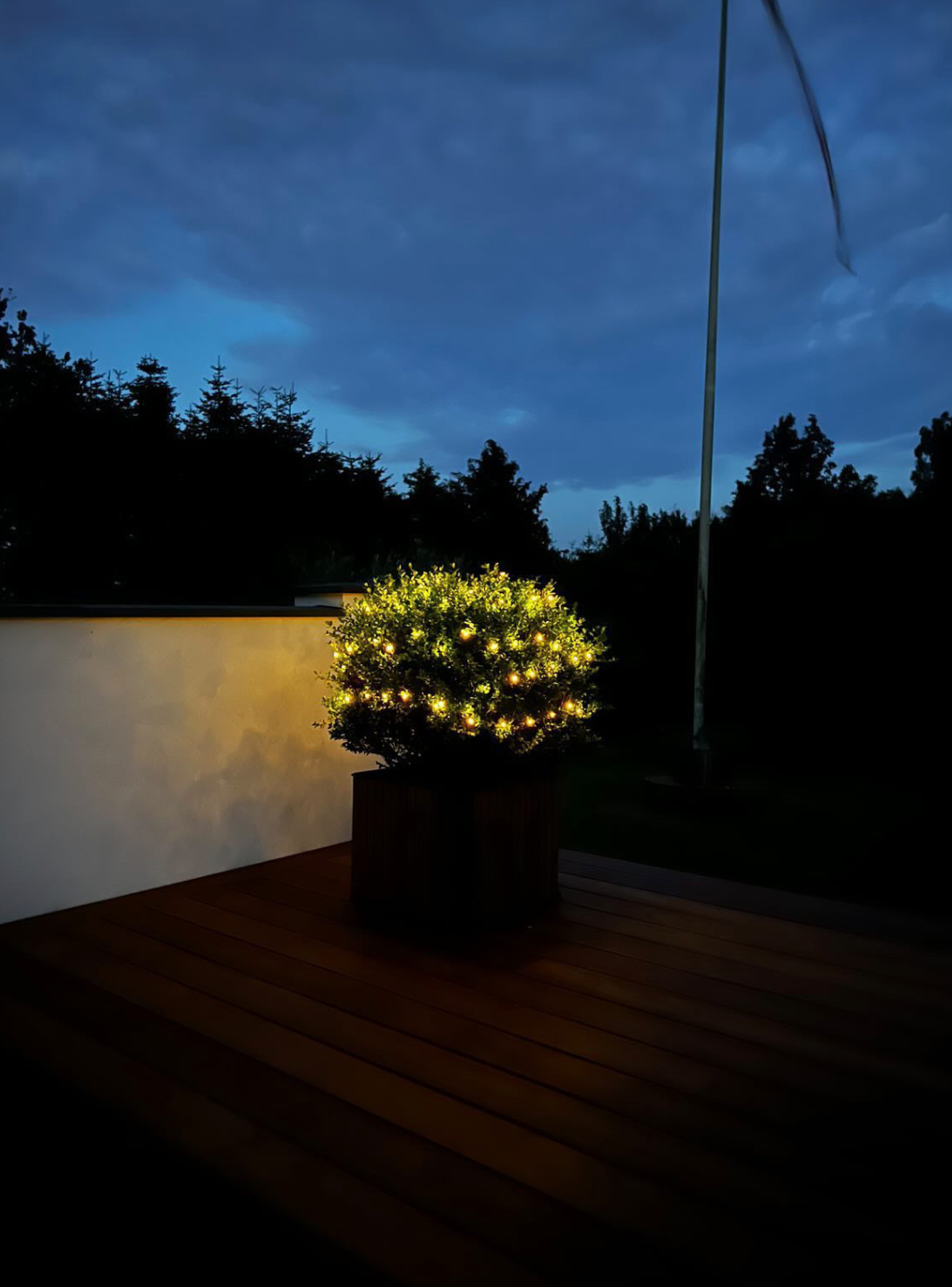 Lichtslinger op zonne-energie - 200 lampjes