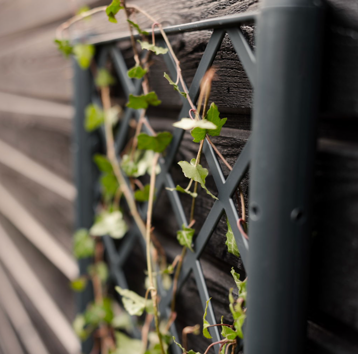 Plantenbak met trellis