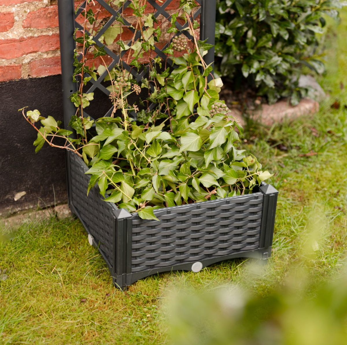 Plantenbak met trellis
