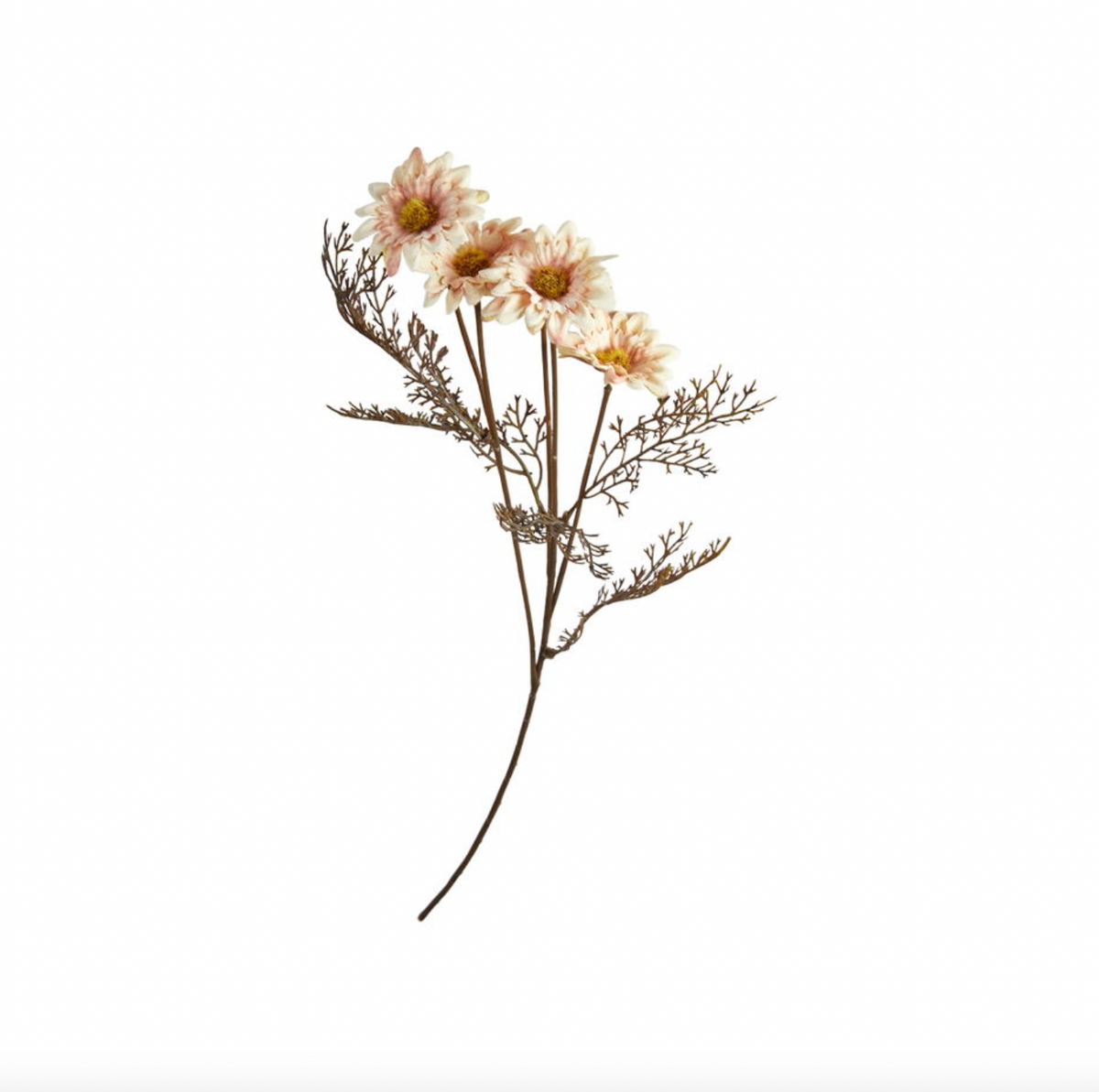 Chrysant tak
