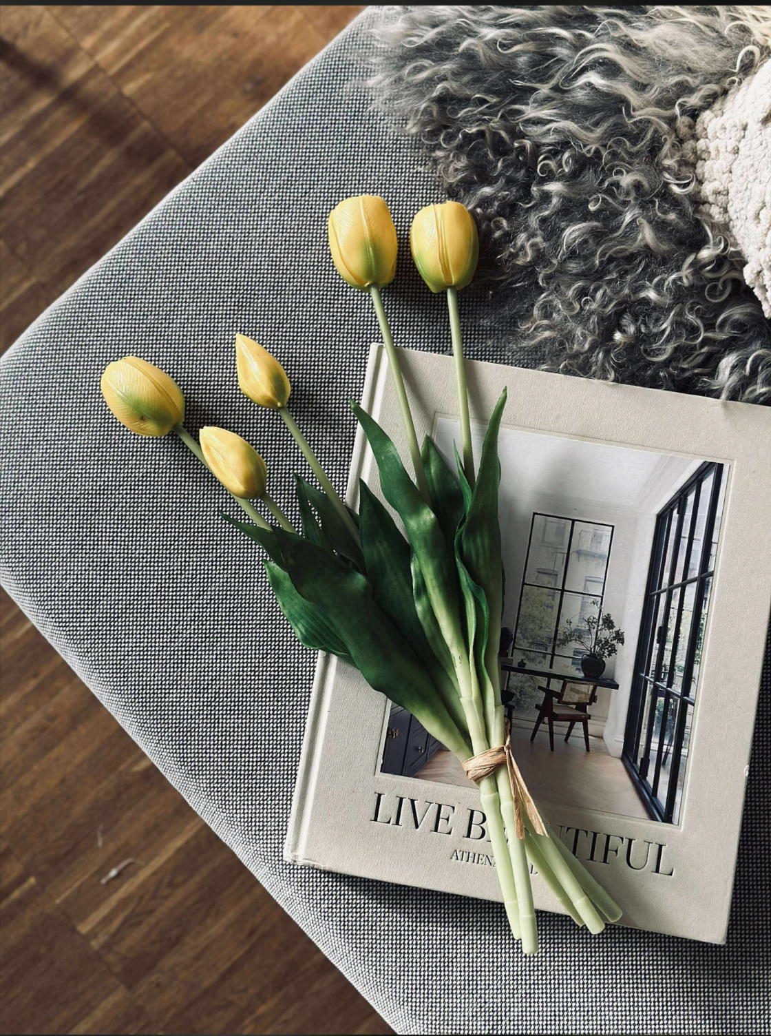 Tulpen – Meerdere kleuren
