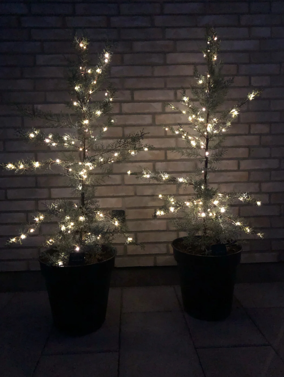 Lichtsnoer Marly m. Solar - 200 lampjes