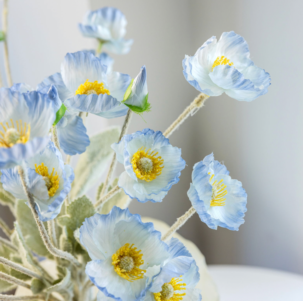 Boeket blauwe klaprozen