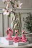 Flamingo MIX
