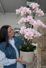 Orchidee in pot 105 cm - Roze