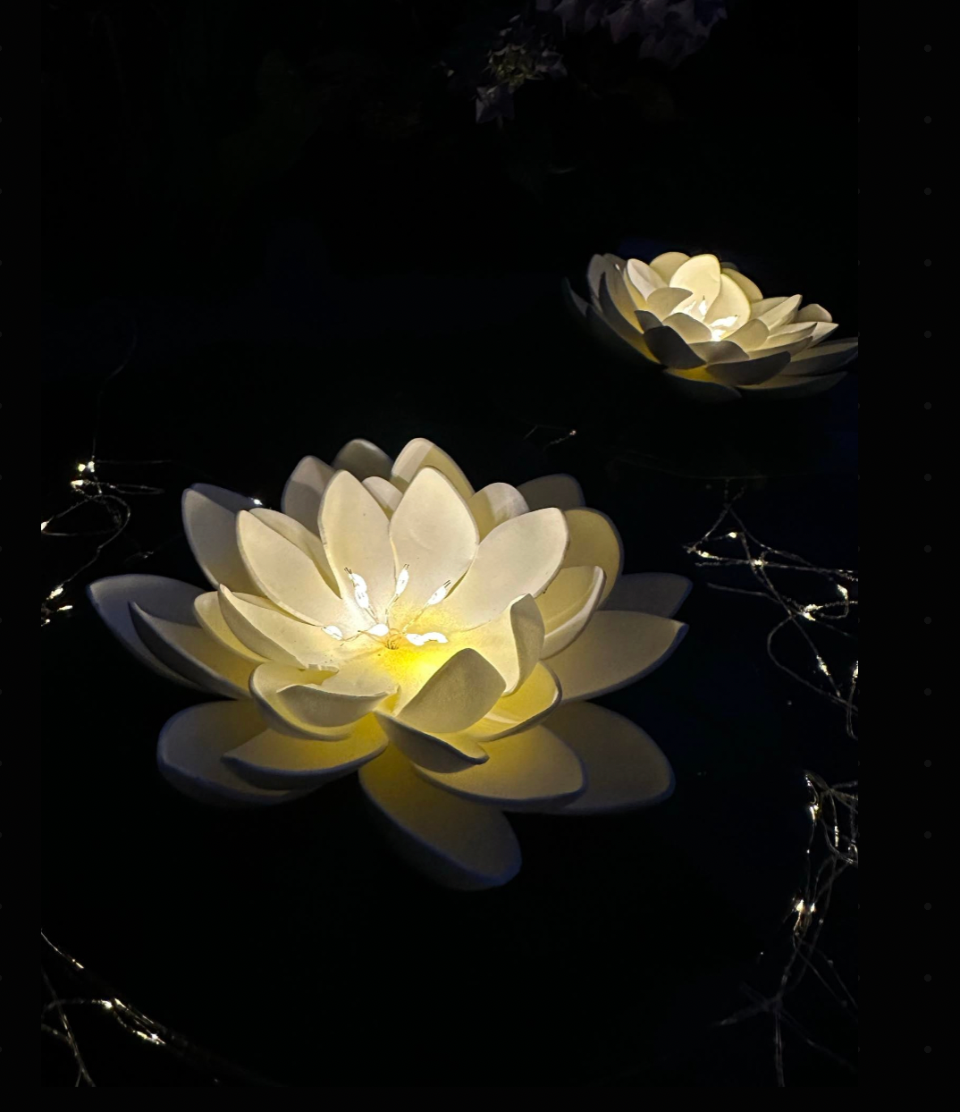 Solar LOTUS – Wit