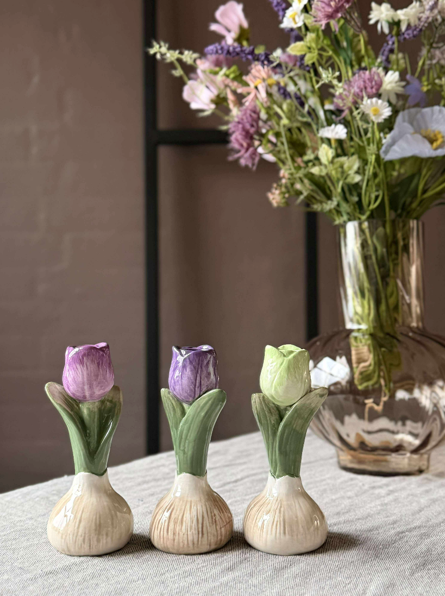 Tulpenbol - 6 kleuren