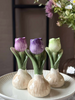 Tulpenbol - 6 kleuren