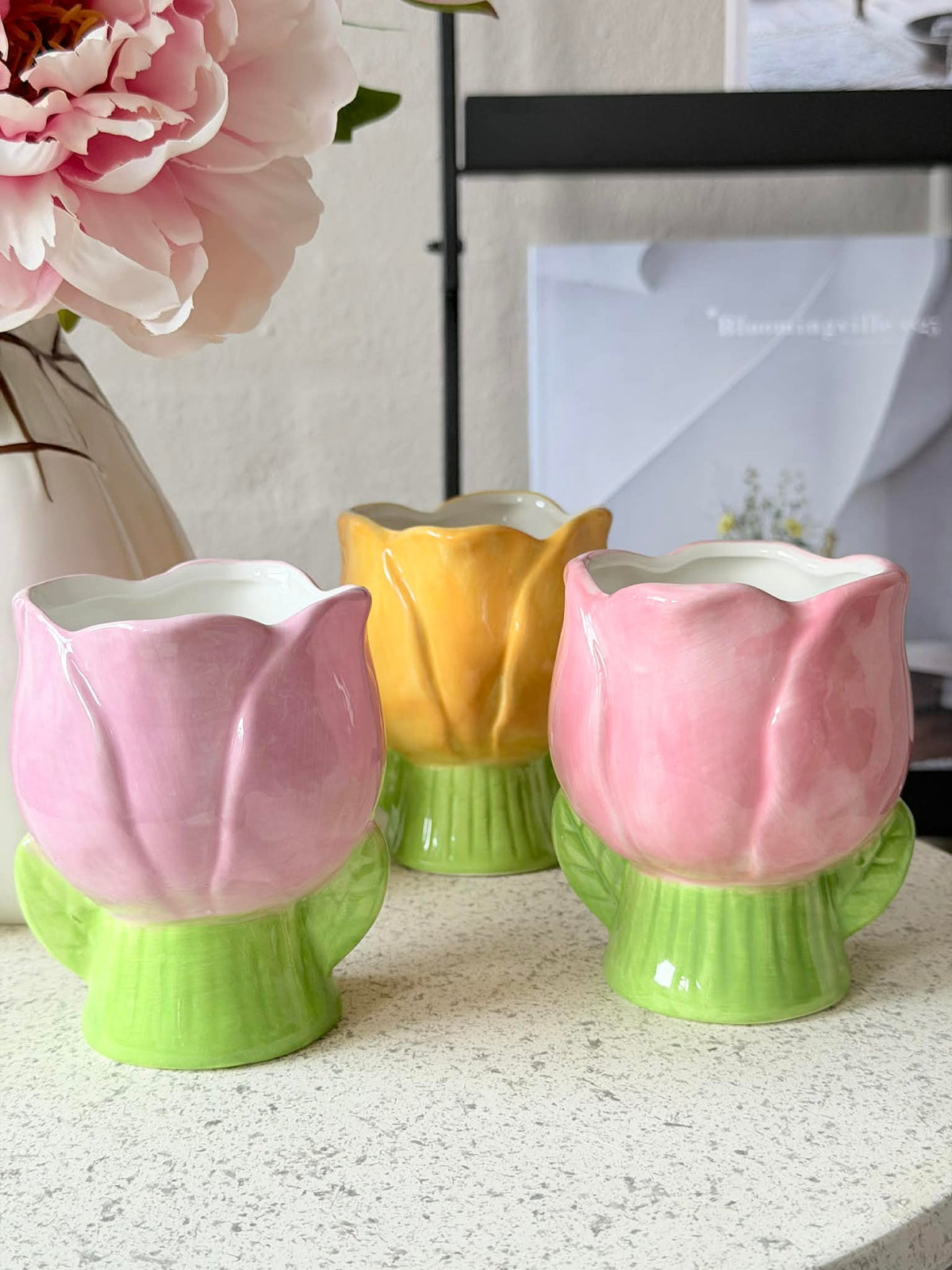 Verbergende Tulp - Meerdere kleuren