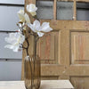 Bloem Magnolia - Wit