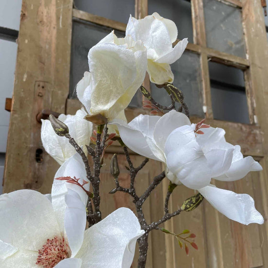 Blomst Magnolia - Hvid - VIAMAJA.DK