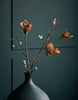 Bloem, Magnolia, Bruin