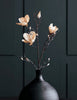 Bloem, Magnolia, Gebroken wit