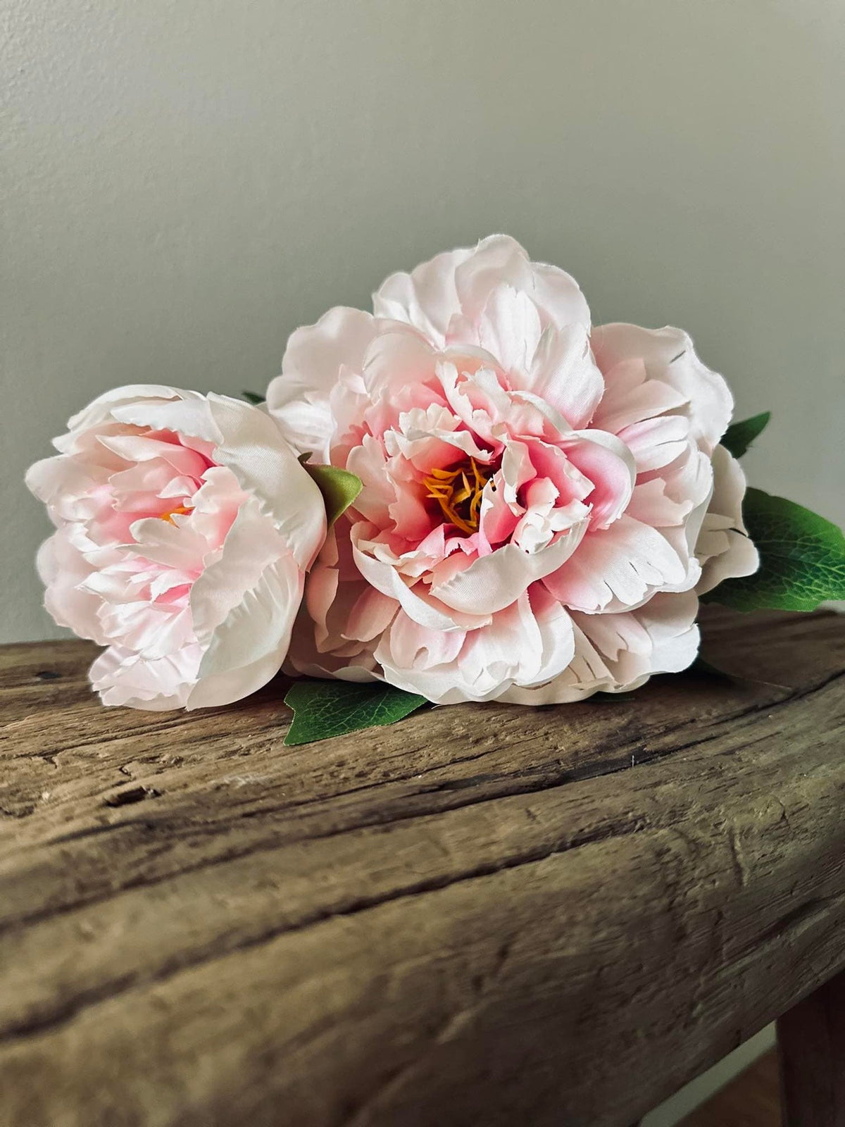 Blomst Pæon pink - VIAMAJA.DK