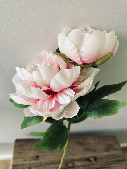 Blomst Pæon pink - VIAMAJA.DK