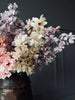 Bloemtak in mixkleuren