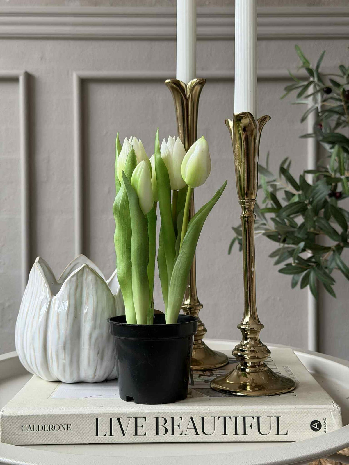 Tulp in pot - Wit