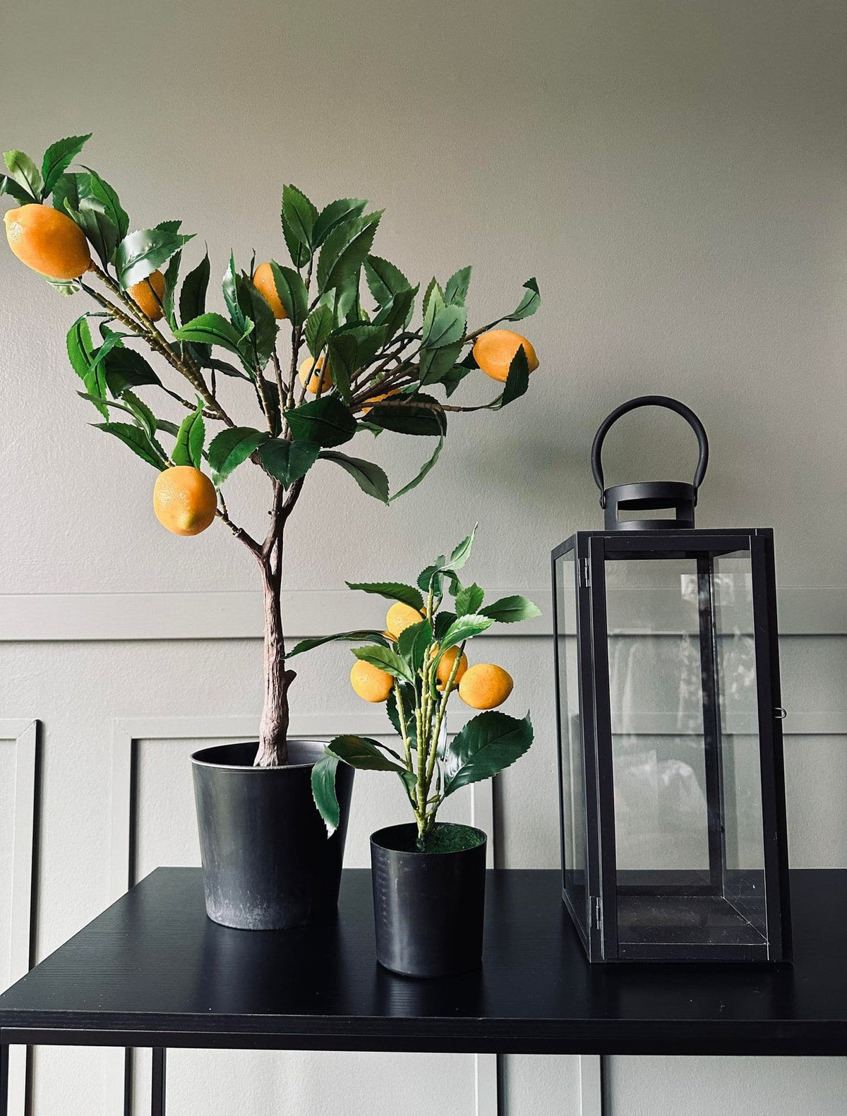 Citrustræ 70cm - VIAMAJA.DK