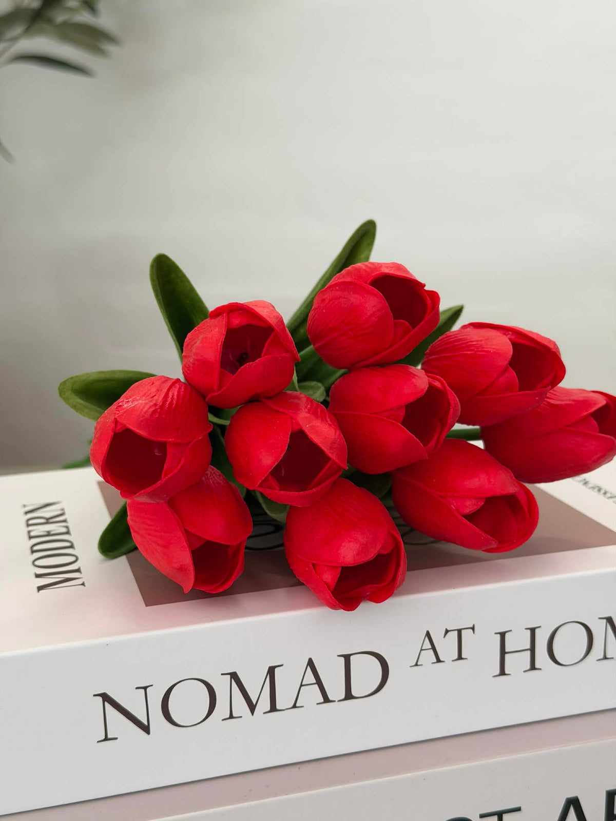 Tulpen 10 stuks – Meerdere kleuren