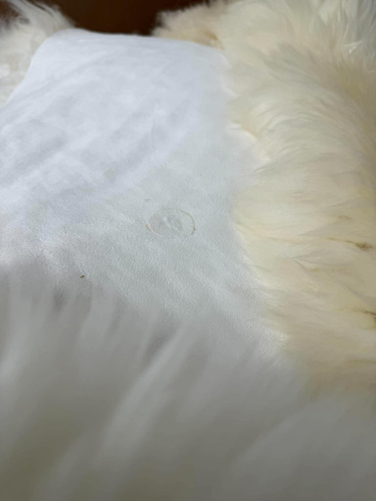 Lamsvel White/creme – Zacht Natuurlijk Vel