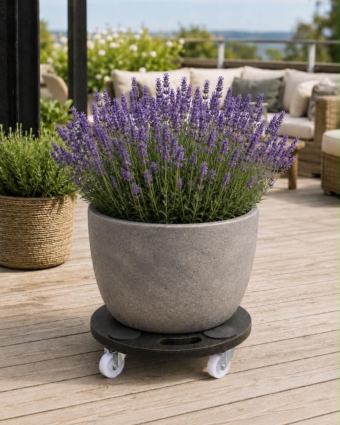 Plantenrolwagen - max. 150 kg